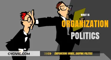 Understanding Organization Politics: Navigating Workplace Dynamics and Power Structures