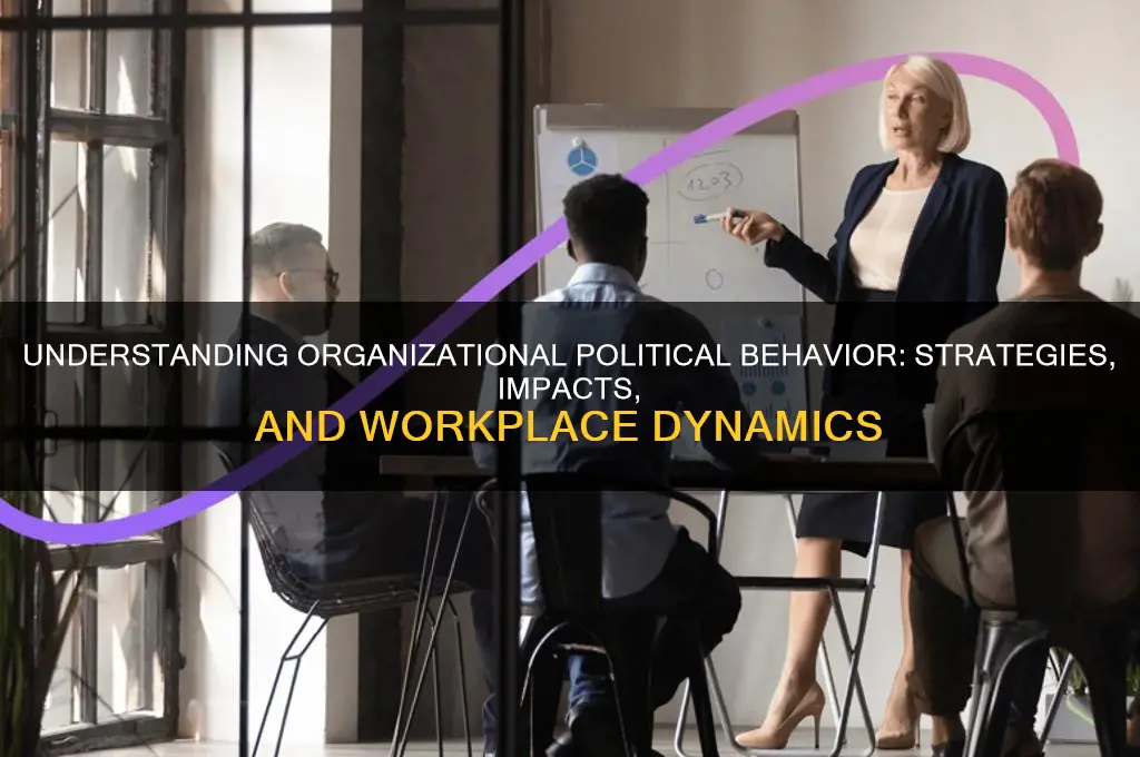 what is organizational political behavior