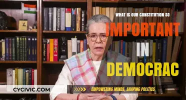 Our Constitution: Democracy's Vital Blueprint