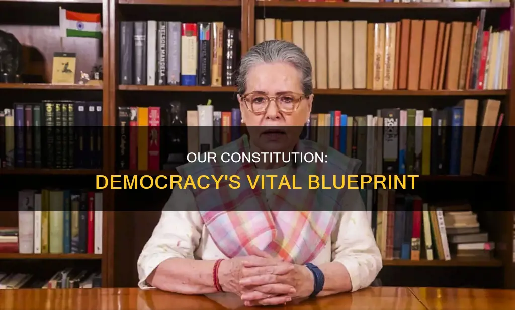 what is our constitution so important in democracy