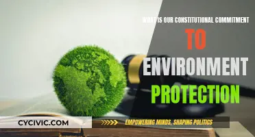 Constitutional Duty: Environmental Protection and Legal Commitment