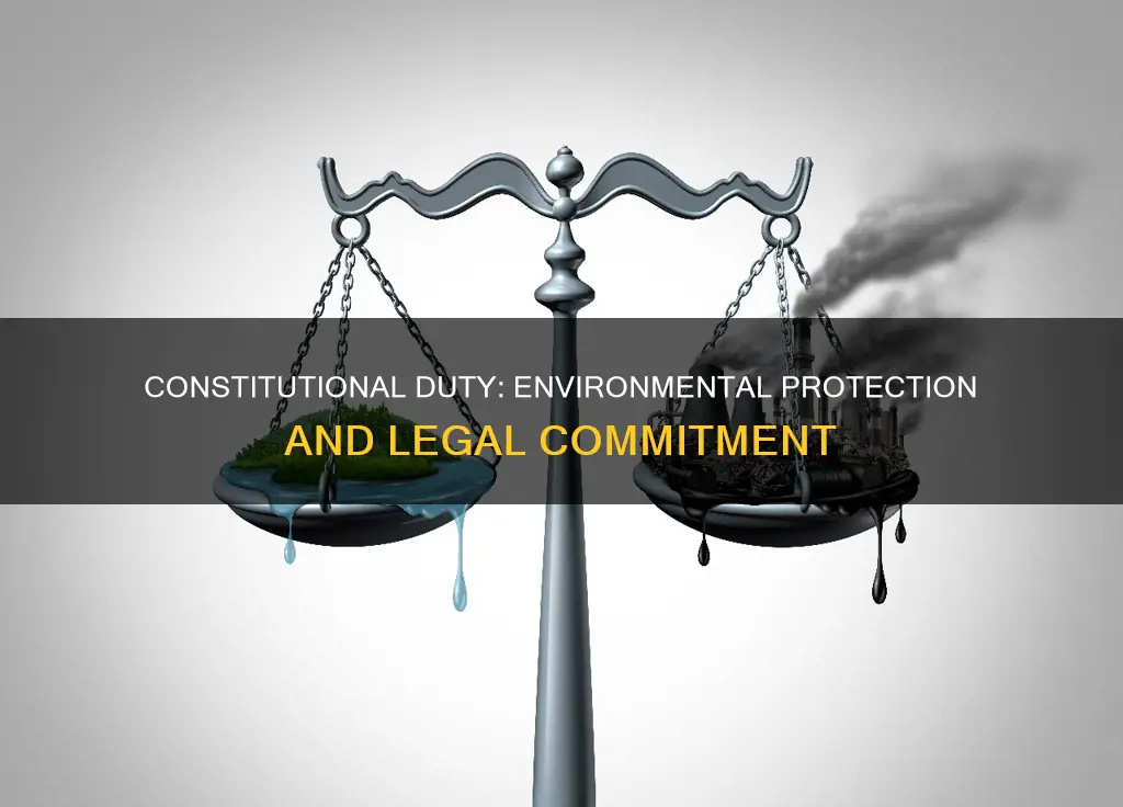 what is our constitutional commitment to environmental protection