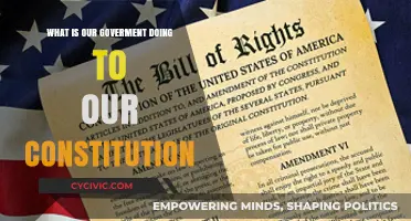 Protecting or Undermining? Our Constitution in Focus