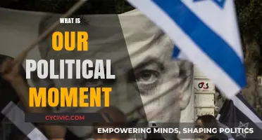 Navigating Today's Political Landscape: Understanding Our Current Moment