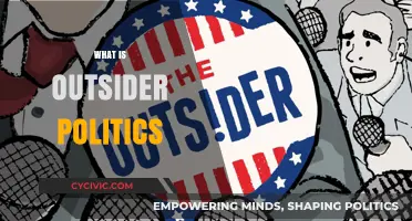 Understanding Outsider Politics: A Fresh Perspective on Political Systems