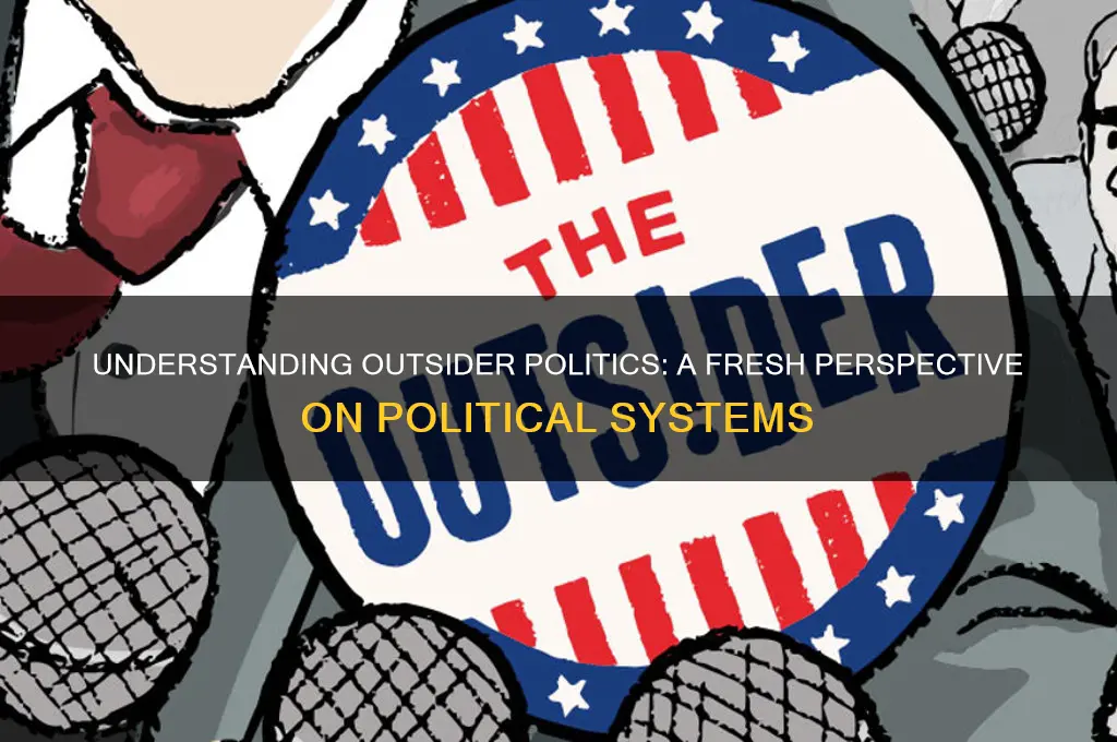 what is outsider politics