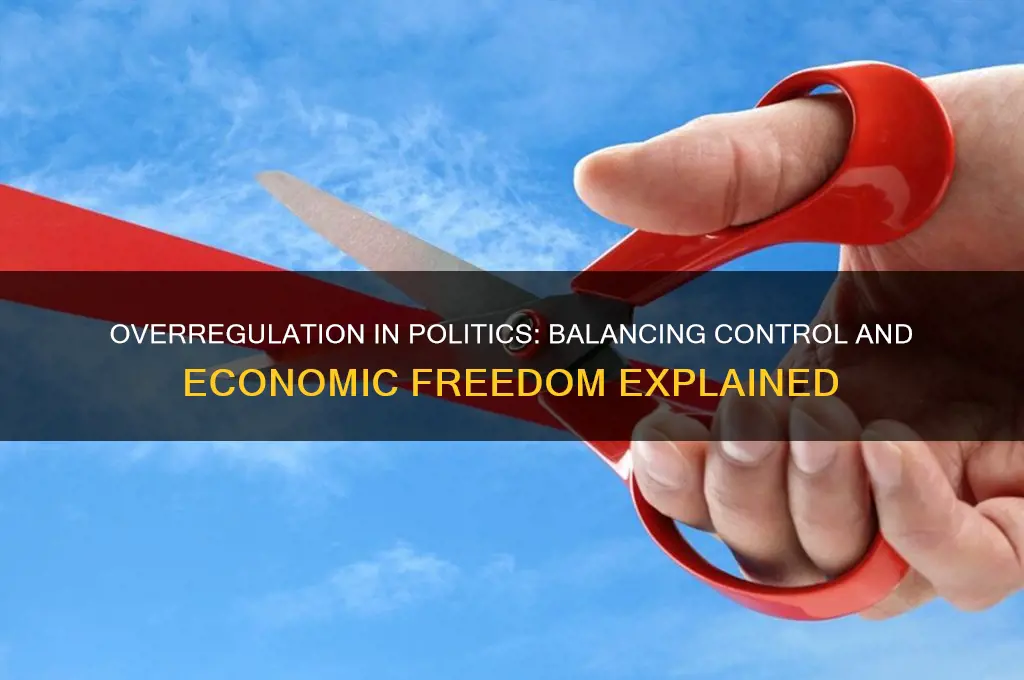what is overregulation in politics