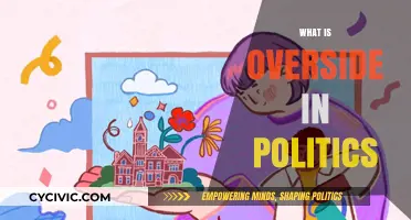 Understanding Overside: Political Strategy, Implications, and Real-World Applications