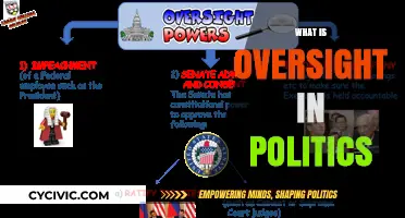 Understanding Political Oversight: Its Role, Importance, and Impact on Governance