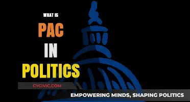Understanding Political Action Committees (PACs): Role, Influence, and Impact