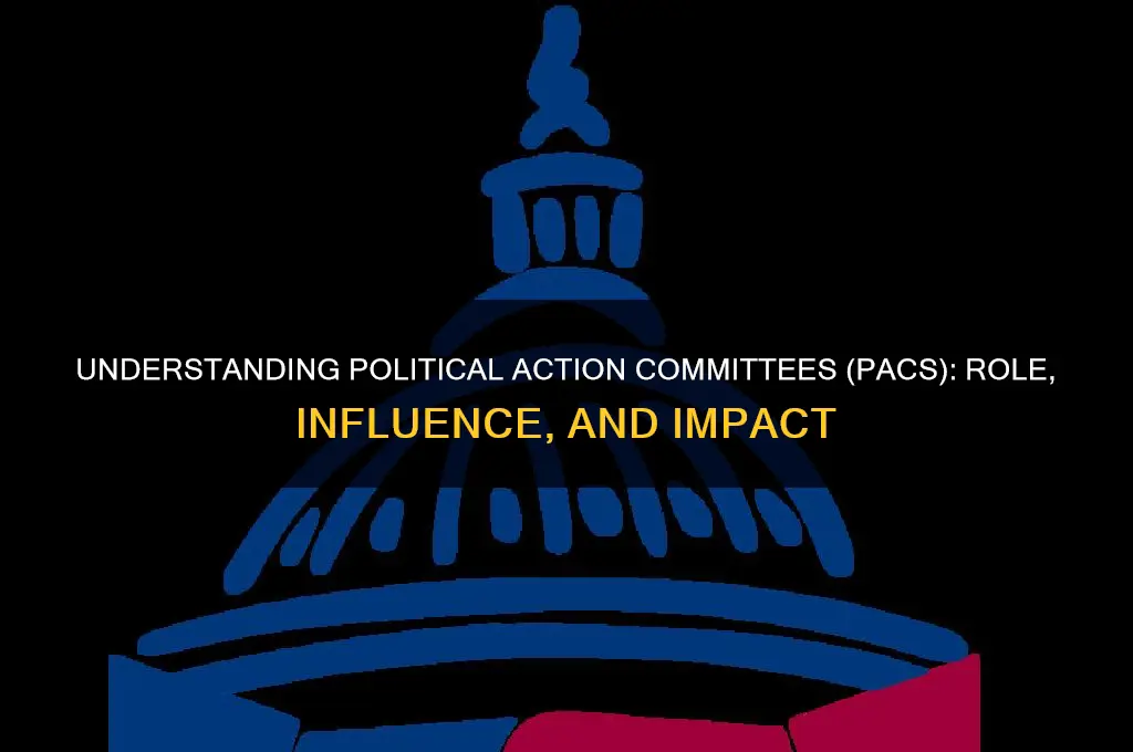what is pac in politics