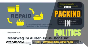 Understanding Political Packing: Strategies, Impacts, and Real-World Examples