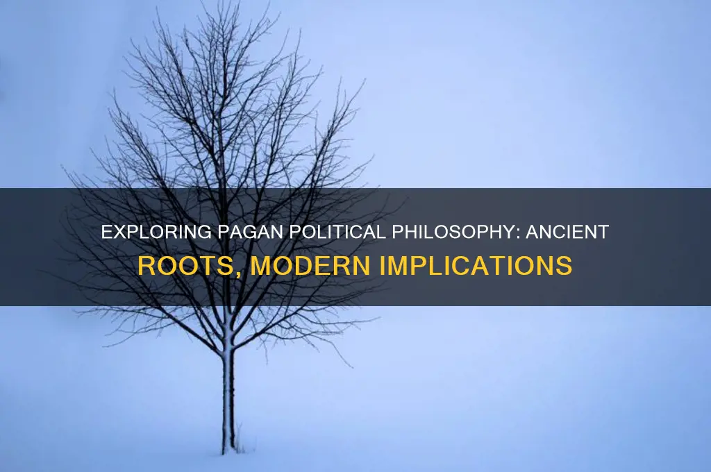 what is pagan political philosophy