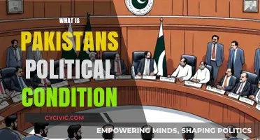 Pakistan's Political Landscape: Challenges, Stability, and Future Prospects