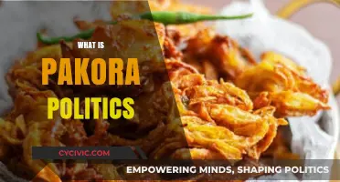 Understanding Pakora Politics: India's Street Food Metaphor for Employment Debate