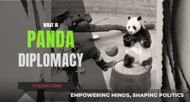 Panda Diplomacy: Soft Power and Cuteness as a Tool