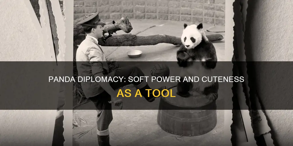 what is panda diplomacy