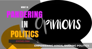 Understanding Pandering in Politics: Tactics, Impact, and Ethical Concerns