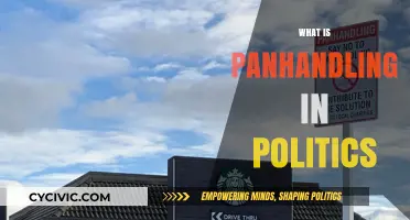Understanding Panhandling in Politics: Tactics, Ethics, and Impact Explained