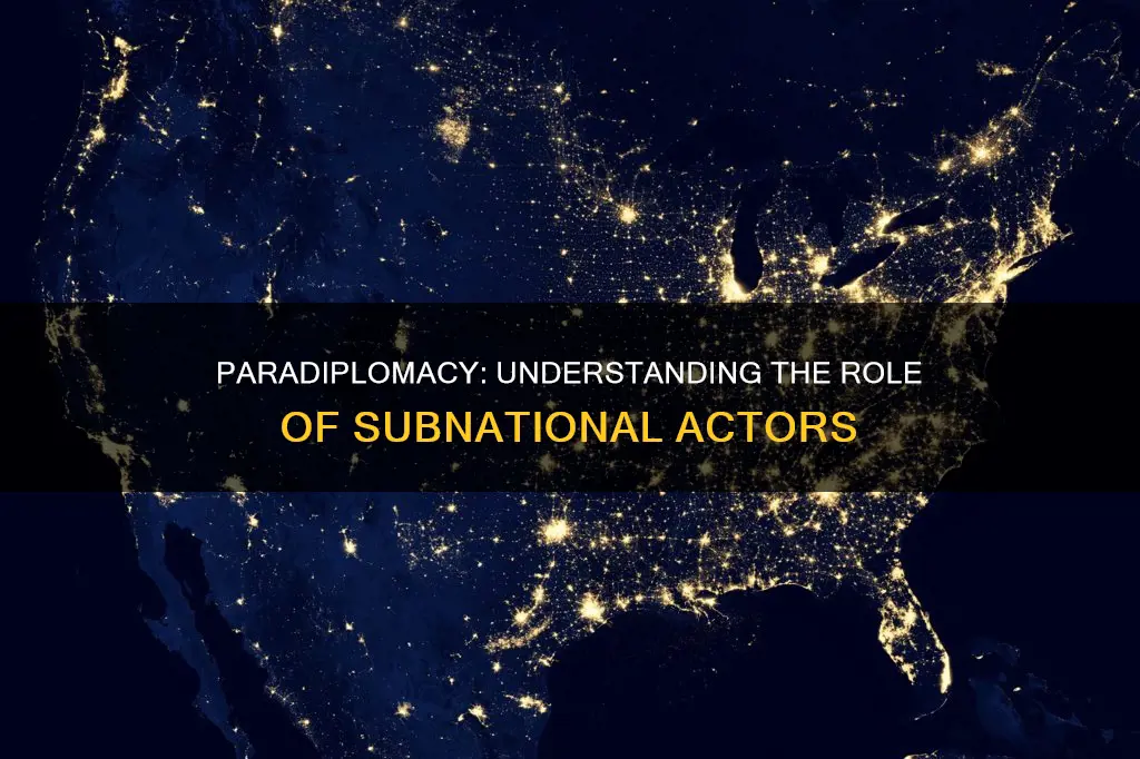 what is para diplomacy