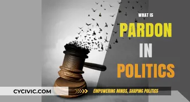 Understanding Political Pardons: Power, Process, and Implications Explained