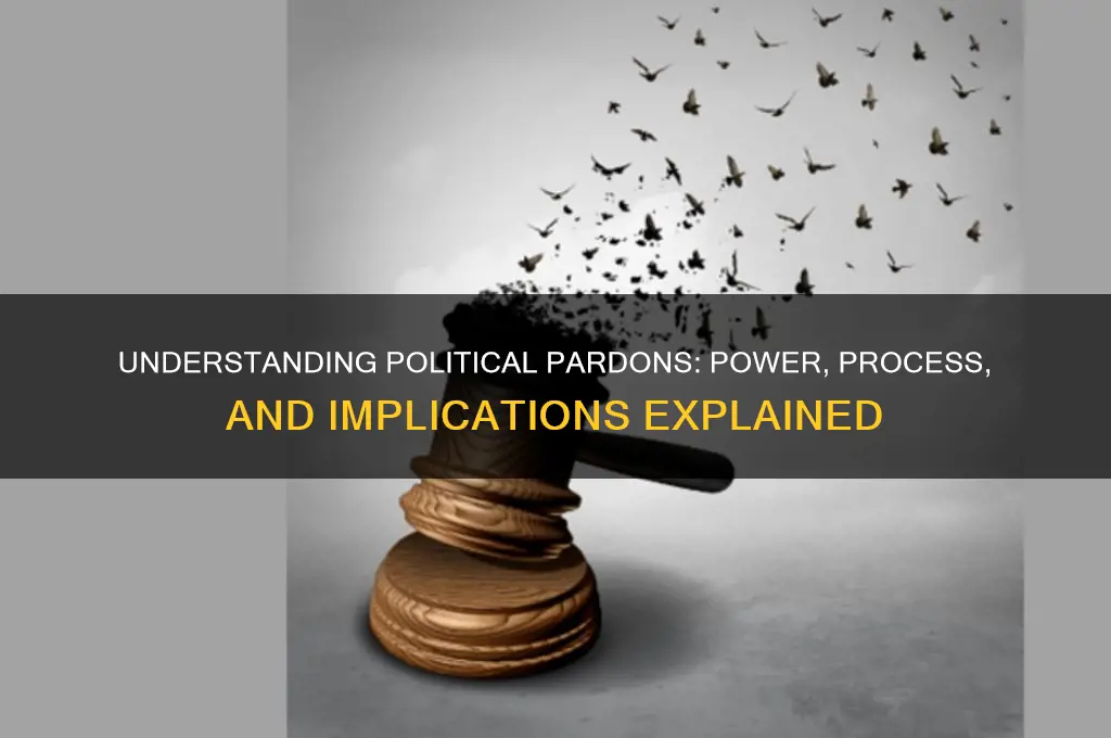 what is pardon in politics