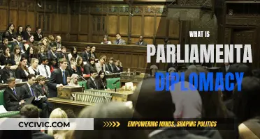 Parliamentary Diplomacy: A Guide to Legislative Relations