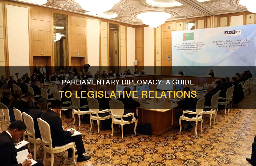 what is parliamentary diplomacy