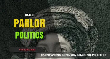 Understanding Parlor Politics: Informal Influence and Power Dynamics Explained