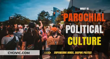 Understanding Parochial Political Culture: Local Beliefs Shaping Governance