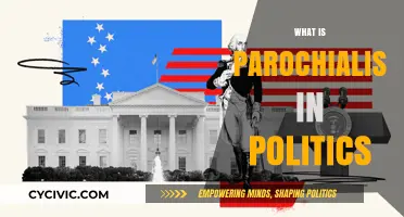 Understanding Parochialism: Its Impact and Role in Modern Politics