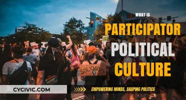 Understanding Participatory Political Culture: Engagement, Democracy, and Civic Empowerment