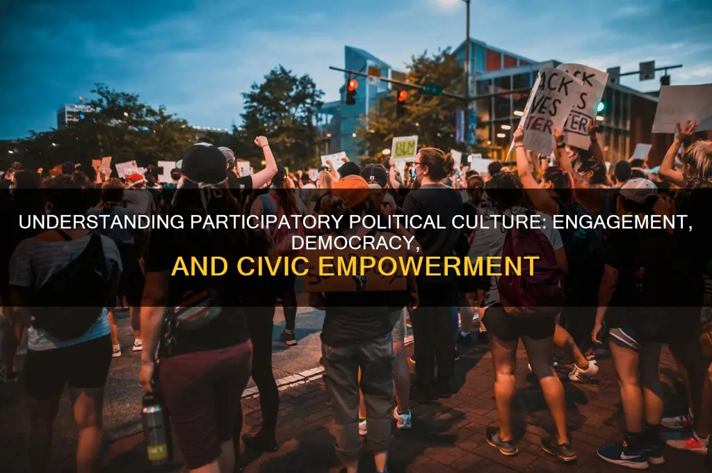 what is participatory political culture