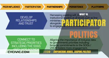 Understanding Participatory Politics: Empowering Citizens in Democratic Engagement