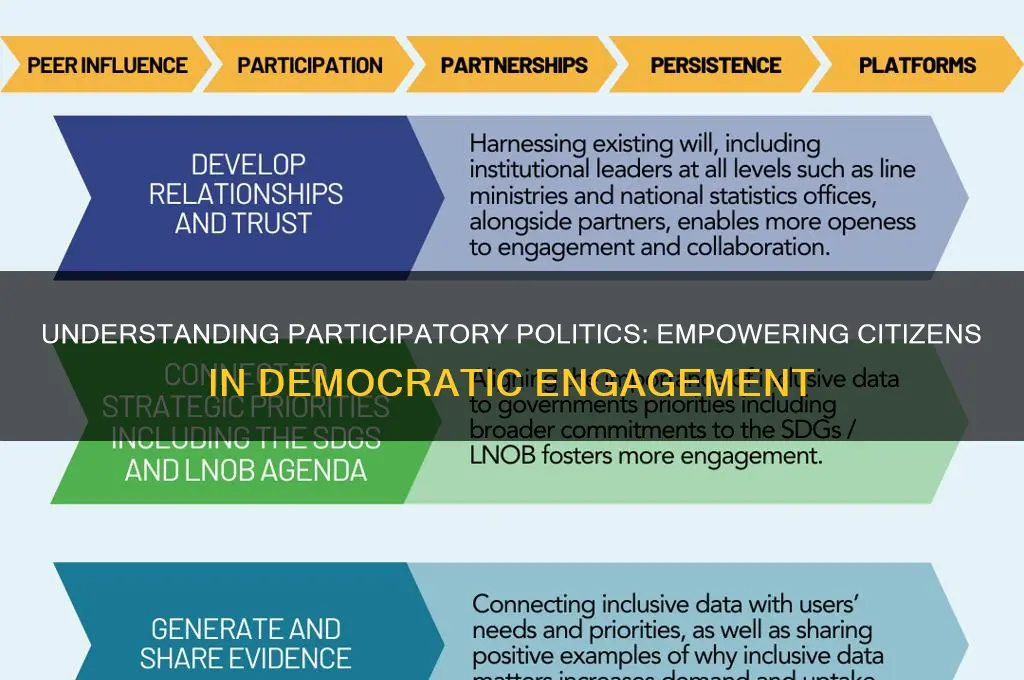 what is participatory politics