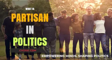 Understanding Partisan Politics: Divisions, Impact, and Modern Implications