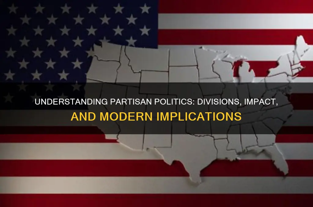 what is partisan in politics