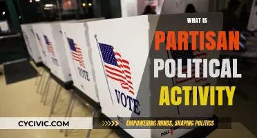 Understanding Partisan Political Activity: Definition, Impact, and Implications