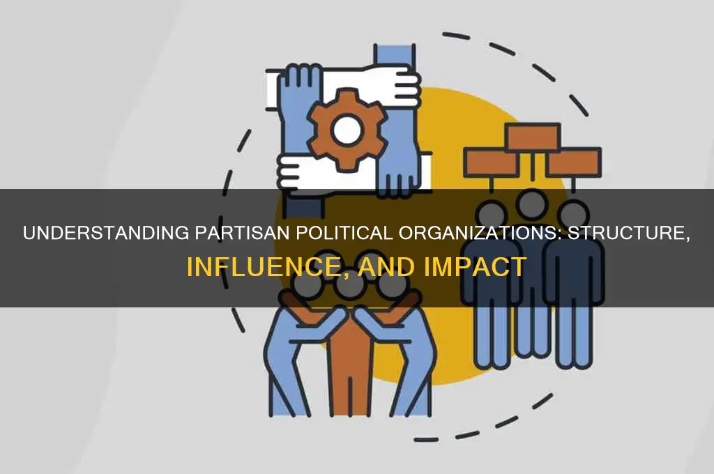 what is partisan political organization
