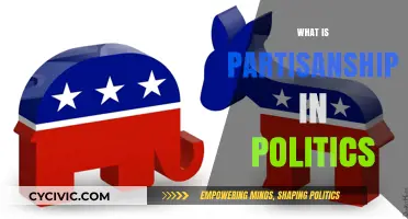 Understanding Partisanship: Political Loyalty, Division, and Its Impact on Democracy