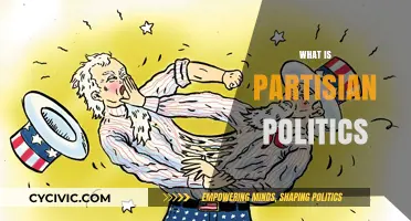 Understanding Partisan Politics: Causes, Effects, and Bridging the Divide