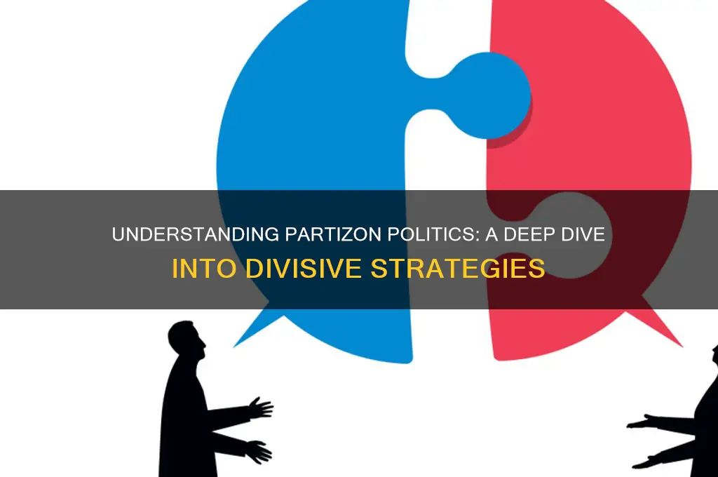 what is partizon politics