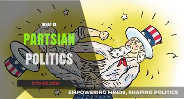 Understanding Partisan Politics: Causes, Effects, and Bridging the Divide
