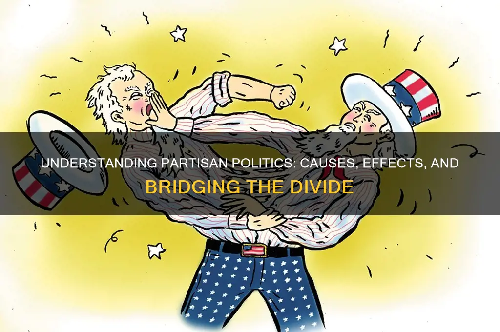 what is partsian politics