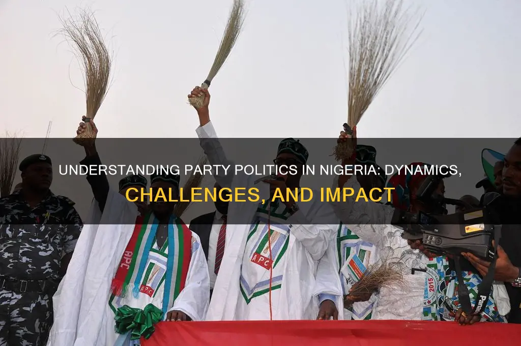 what is party politics in nigeria
