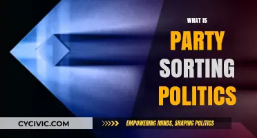 Understanding Party Sorting Politics: How Polarization Reshapes American Democracy