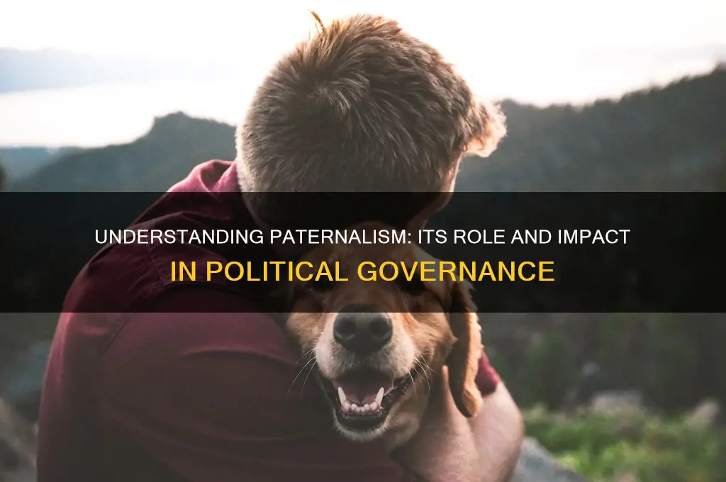 what is paternalism in politics