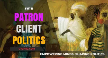 Understanding Patron-Client Politics: Power Dynamics and Influence in Governance