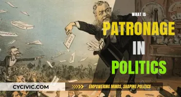 Understanding Political Patronage: Power, Influence, and Loyalty in Governance