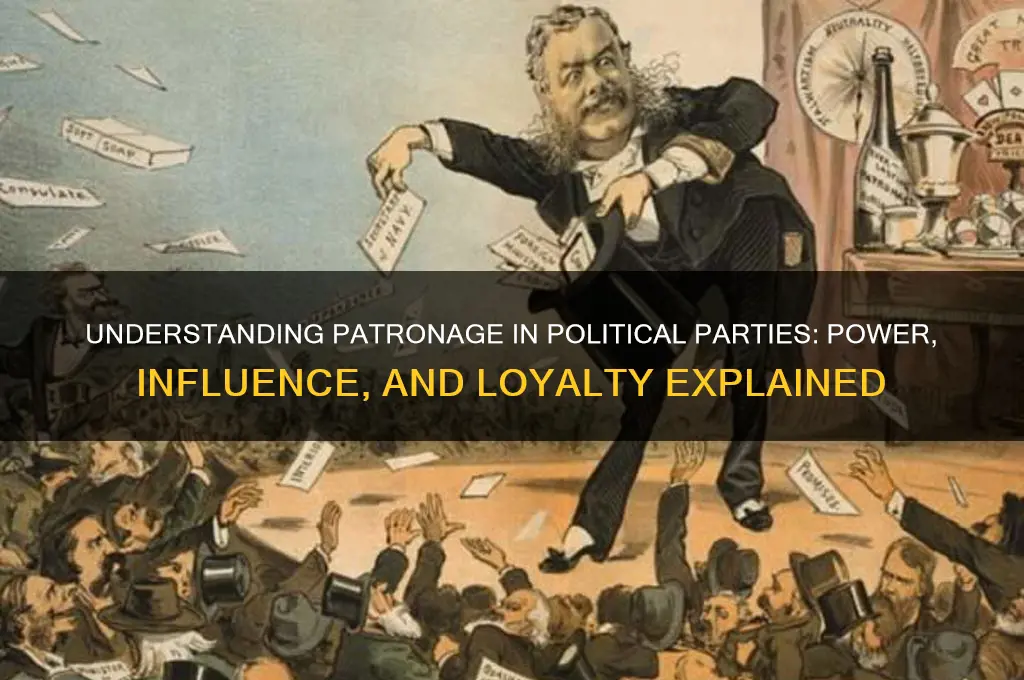 what is patronage political party